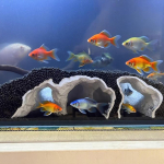 Akvaariumi Koobas Krevetid ja Kalad Akvaariumi Kaunistus Sigimisvarjupaik Maastikukaunistus Beeta-konna, Corydorase, V&auml;ikese Tsiltsi, Guppy, Roomaja jaoks S