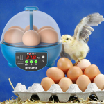 6 muna inkubaator temperatuurikontrolli ja k&auml;sitsi munap&ouml;&ouml;ramisega linnukasvatusmasin lindudele Blue Manual
