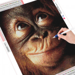 Teemanttikandid maalid Ahv 5D Teemantmosaiik Loom Tee ise Teemantmaal 20X30