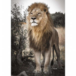 5D isetehtud teemantmaal Ristpistes Animal Proud Lion Teemanttikandid 20X30CM