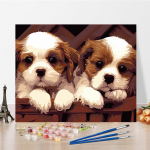 DIY Maalimine numbrite j&auml;rgi Kunst numbrid Maalimine Hobid Kodukaunistus Digitaalne &otilde;limaal K&auml;sit&ouml;&ouml; 40x50cm no frame