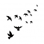 Veekindel tapeet Vivid Laialdaselt kasutatav kunstikaunistus Peace Dove PVC dekoratiivne kleebis