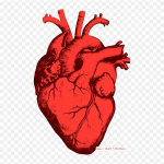 Love Live! P&auml;ikest!! Triikimine soojus&uuml;lekandega tr&uuml;kkimine Vin&uuml;&uuml;lplaastrid Kleebis riietele Ise ise teha aplikatsioonid pestavad plaastrid