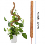 Samblavarras taimede jaoks Monstera, painutatavad samblavardad reguleeritava kujuga siseruumides ronimistaimede jaoks, k&otilde;rged samblapostid siseruumides ronimistaimede jaoks B