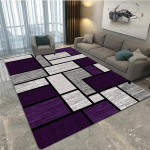 P&otilde;hjamaine minimalistlik geomeetrilise tr&uuml;kiga vaip, elutoa ja magamistoa dekoratiivvaip, k&ouml;&ouml;gi ja vannitoa libisemisvastane p&otilde;randamatt 80cm by 120cm gray