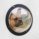 Dog Fence Window Pet Bubble Cat House,Reduced Boredom,Pet 12 inch View Dome for Yard