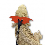 P&otilde;genemisvastane v&auml;limine veoj&otilde;ud, mugav kanda pannal fikseeriv painduv reguleeritav lemmikloomarihm punane