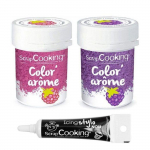2 colorants alimentaires framboise & m&ucirc;re + Stylo gla&ccedil;age noir
