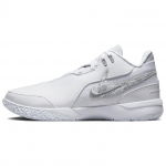 Nike Zoom LeBron NXXT Gen AMPD Valge Metallik H&otilde;be Unisex Tossud Hele Suitsuhall FJ1566-102 41