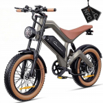 Elektriline jalgratas - DYU - M20 - 1000W mootor - 48V aku - 18,2Ah - 20x4,0 rehvid