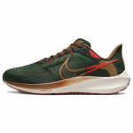 Nike X Hola Lou Air Zoom Pegasus 39 'A.I.R.' DO9500-300 49.5