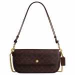 Coach Brook 24 Messingist Metallist Riistvara K&auml;eshoitav Crossbody Kott Naiste K&auml;ekotid Pruun CAN91-B4MPL Basic Set (Bag+Dust Bag)