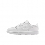 Jordan Court Connect Low GS Valge Puhas Plaatinatooni IQ6016-100 40