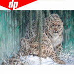 T&auml;isteemanttikandid loom  Leopard  5D teemantmaali ristpistes 20X30