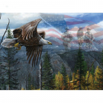 5D DIY Teemantmaal Teemanttikandid Lendav Kotkas Mosaiik Ristpistes Rhinestone 20X30CM