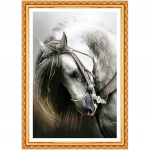 Teemanttikandid 5D Horse seeria t&auml;is&uuml;mmarguse ristpistega pilt kividest kodukaunistuseks 20X30CM