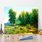 DIY v&auml;rvid numbrite j&auml;rgi &otilde;limaali komplekt L&otilde;uend DIY &otilde;limaal numbrite j&auml;rgi Seinakunsti kaunistused kodukinki kunstiks ja hobideks 40x50cm no frame