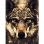 T&auml;ielik &uuml;mmargune lind mosaiik teemanttikandid mosaiiktikandid tikkimine rist 5d isetehtud teemantmaal Kodukaunistus t&uuml;drukule kingitus Full Round 20x30CM