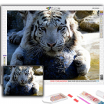 5D teemantmaal T&auml;ielik teemant loom valge tiiger teemantmaal K&auml;sitsi valmistatud teemantmosaiikmaal kodukaunistus Full Round 20X30CM