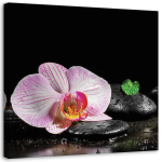 L&otilde;uenditr&uuml;kk Zen Orchid Flower 30x30 roosa