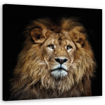 L&otilde;uendiprint Majestic lion 30x30 beež