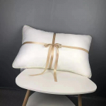 Hilton Pillow Pillow Core Hotel Special Simple Water Wash Drill Pillow 48*74
