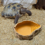 Aretuskasti veebassein, vastupidav haudeelupaik, suure mahutavusega mitmeotstarbeline m&auml;ngiv veelemmik S