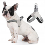 Koerarakmed Peegeldavad hingavad lemmikloomavesti rakmed v&auml;ikestele koertele No Pull Outdoor Matkamine Kutsikas Kassid Rinnarihm Chihuahua Yorkshire Supplies M