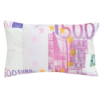Coussin billet de banque 500 euros Oreiller moelleux 500 euros