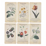 Botanical Flower Oracle Card Tarot Botaaniline inspiratsiooni ennustamine lauam&auml;ng
