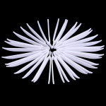 20 tk &uuml;hekordsed pintsetid plastikust meditsiinilised v&auml;ikesed helmed tangid ehete valmistamiseks