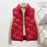Elegantne Kitsas Varrukateta Vest Keskealistele Naistele - S&uuml;gis/Talv Kollektsioon 2XL (105-120) gray