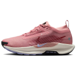 Nike Pegasus Trail 5 GORE-TEX 'Red Stardust Lilac Ice' Naiste FQ0912-602 41 brown