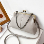 Vintage &otilde;lakotid Naiste v&auml;ikesed ketid Crossbody kotid Lukuga disainiga k&auml;ekotid Br&auml;ndi Naiste Clip Messenger kotid 26x6.5x15cm