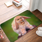 Naljakas Nicolas Cage'i J&auml;nese Meem Uksematt Libisemisvastane Vannituba K&ouml;&ouml;k Matt WC Ukse P&otilde;rand Sissep&auml;&auml;s Vaip 40cm x 60cm