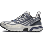 Salomon ACS Pro GORE-TEX Lunar Rock Grisaille Unisex tossud Hall L47866900 44 gray