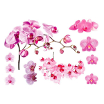 Les Tr&eacute;sors De Lily [M9129] - Planche de stickers 'Orchid&eacute;e' rose (50x70 cm) Heleroosa