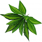 1 Kimp 12 pead kunstlik taim Saago Cycas Lehed Kodu Bonsai kaunistus roheline