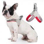 Koerarakmed Peegeldavad hingavad lemmikloomavesti rakmed v&auml;ikestele koertele No Pull Outdoor Matkamine Kutsikas Kassid Rinnarihm Chihuahua Yorkshire Supplies M punane