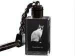 Snowshoe - Crystal pendant with cat photo, illuminated pendant, unique gift by Art-Dog brand