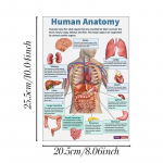 16 tk/komplekt Inimese anatoomia plakat Inimese organid Aju Maks S&uuml;da Anatoomia plakat Meditsiini klassiruumi dekoratiivne seinakunst