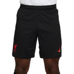 Nike LiverpoolFC Dri FIT Jalgpalli p&uuml;ksid Meeste Must/Valge/Globaalpunane FQ2059-010 M