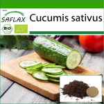 SAFLAX &ndash; Mahe &ndash; Kurk &ndash; Marketmore &ndash; 20 seemet &ndash; Potisubstraadiga paremaks kasvatamiseks &ndash; Cucumis sativus