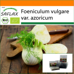 SAFLAX - Aed kotis - Orgaaniline - Firenze apteegitill - 100 seemet - Substraadiga sobivas p&uuml;stises kotis - Foeniculum vulgare