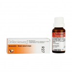 dr. Reckeweg R27 Neerukivid tilgad 22 ML