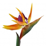 Kunstlillede paradiisilind V&otilde;ltstaimede siidist Strelitzia Reginae kodukaunistus