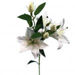6 pead/oksa kunstlilleoks Realistlik pleekimatu turvaline Laialdaselt kasutatav simuleeritud liilia Real Touch siidist lill kodukaunistuseks