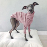 Koerariided Kevad s&uuml;gis K&otilde;rge kaelarihm Kahe jalaga lemmikloomade riided Greyhound Whippet Turtleneck Pidžaamad Soojad riided Koeratarbed 2XL roosa