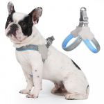 Koerarakmed Peegeldavad hingavad lemmikloomavesti rakmed v&auml;ikestele koertele No Pull Outdoor Matkamine Kutsikas Kassid Rinnarihm Chihuahua Yorkshire Supplies M sinine