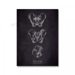 Lihas Jalal Luu S&uuml;dame Anatoomia Skelett Seinakunst L&otilde;uendimaal P&otilde;hjamaade plakatid ja v&auml;ljatr&uuml;kid Seinapildid arsti kontori sisekujunduseks 21x30cm No Framed